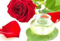 8 loại thực vật tốt cho da