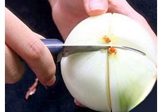 Củ hành chống loãng xương