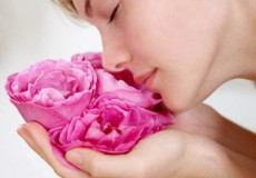 Dung dịch làm săn da từ nước hoa hồng và glycerin